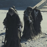 Black-Robed Clone